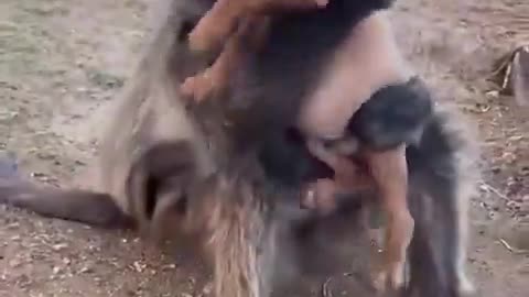 😂🤣 What's Happening in That House? | FunFM