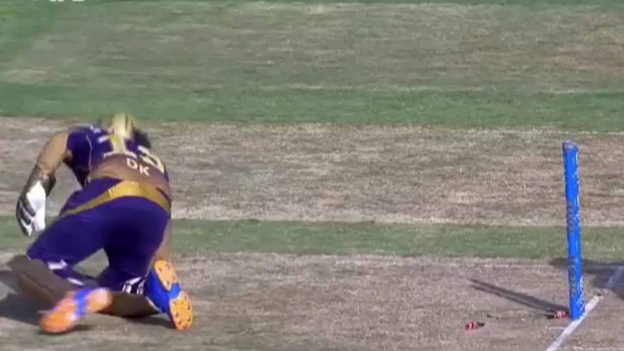 Funny moments of cricket 🤣🤣