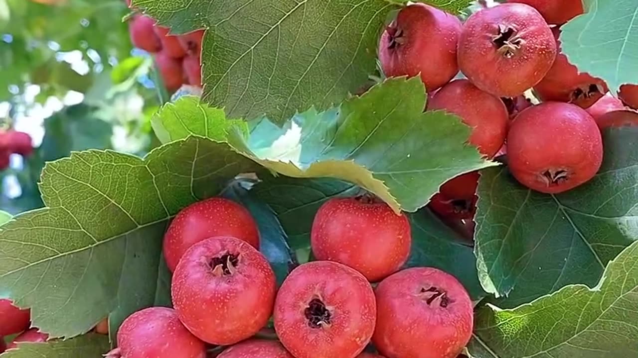 रिश्तों को ताले के तरह बनाना पड़ती है