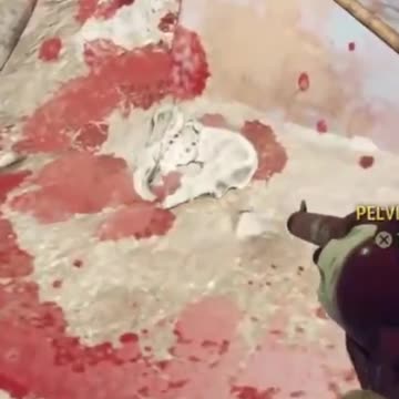 McDicken. Wasteland Survivalist? Who could have seen it coming? #fallout76