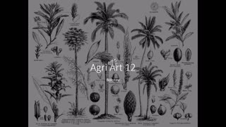Agri Art 12 The Gardens of Bolotov