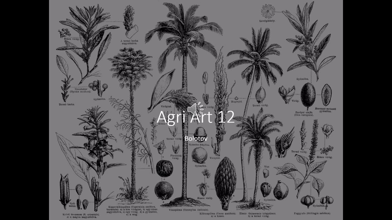 Agri Art 12 The Gardens of Bolotov