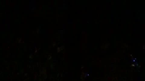 Fox Screaming Outside