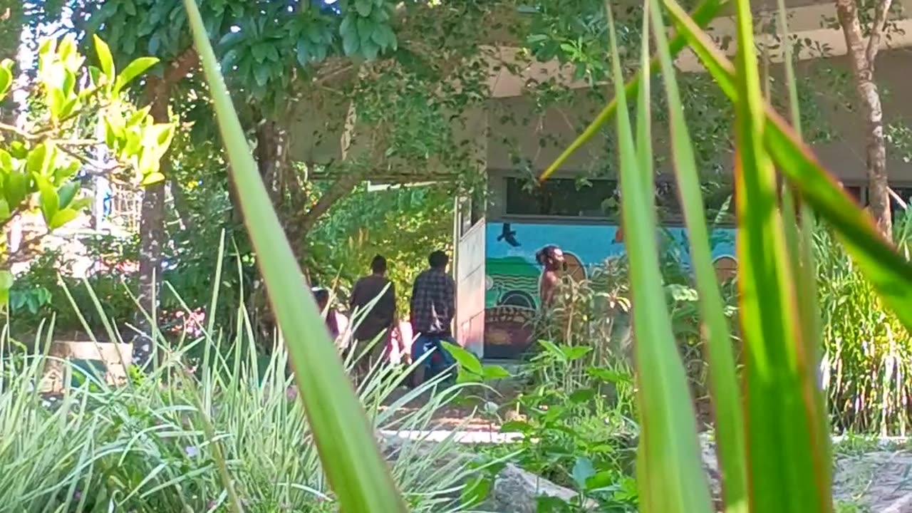 9.4.2025 Out of Control Kuranda