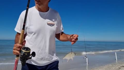 riprovo ad insidiare il pesce pompano co1etri flotterati_part5