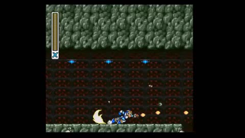 Mega Man X:Boomer Kuwanger & Sting Chameleon