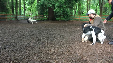 first official dog park visit