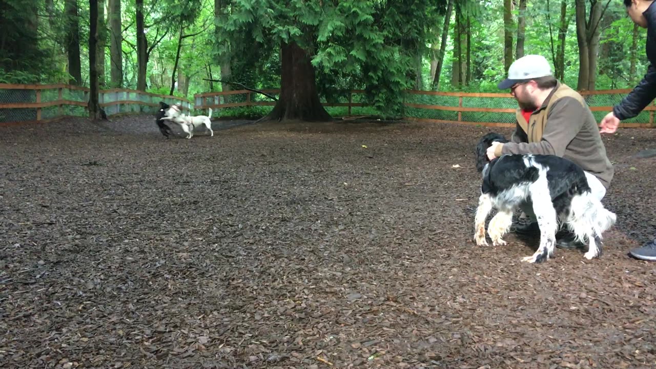 first official dog park visit