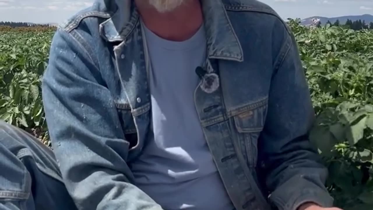 🚨🇺🇸 Texas Floods: Weather Manipulation.