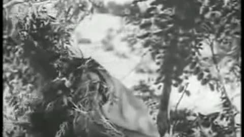 Sniper Field Training Masters of Camouflage and Deception