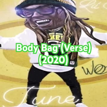 Lil Wayne - Body Bag (Verse) (528Hz) (altered audio for Yt)