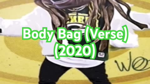Lil Wayne - Body Bag (Verse) (528Hz) (altered audio for Yt)