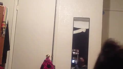 🍑BIG BOOTY BLACK GIRLS🍑🔥TWERKING🔥 