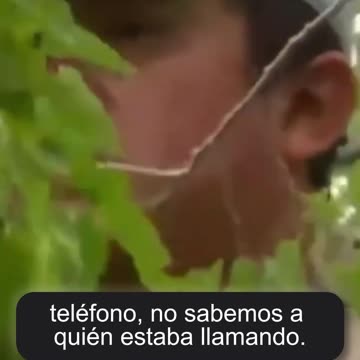 Raul, the tree-climbing illegal