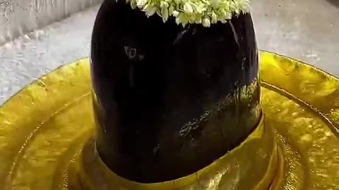 Shiva