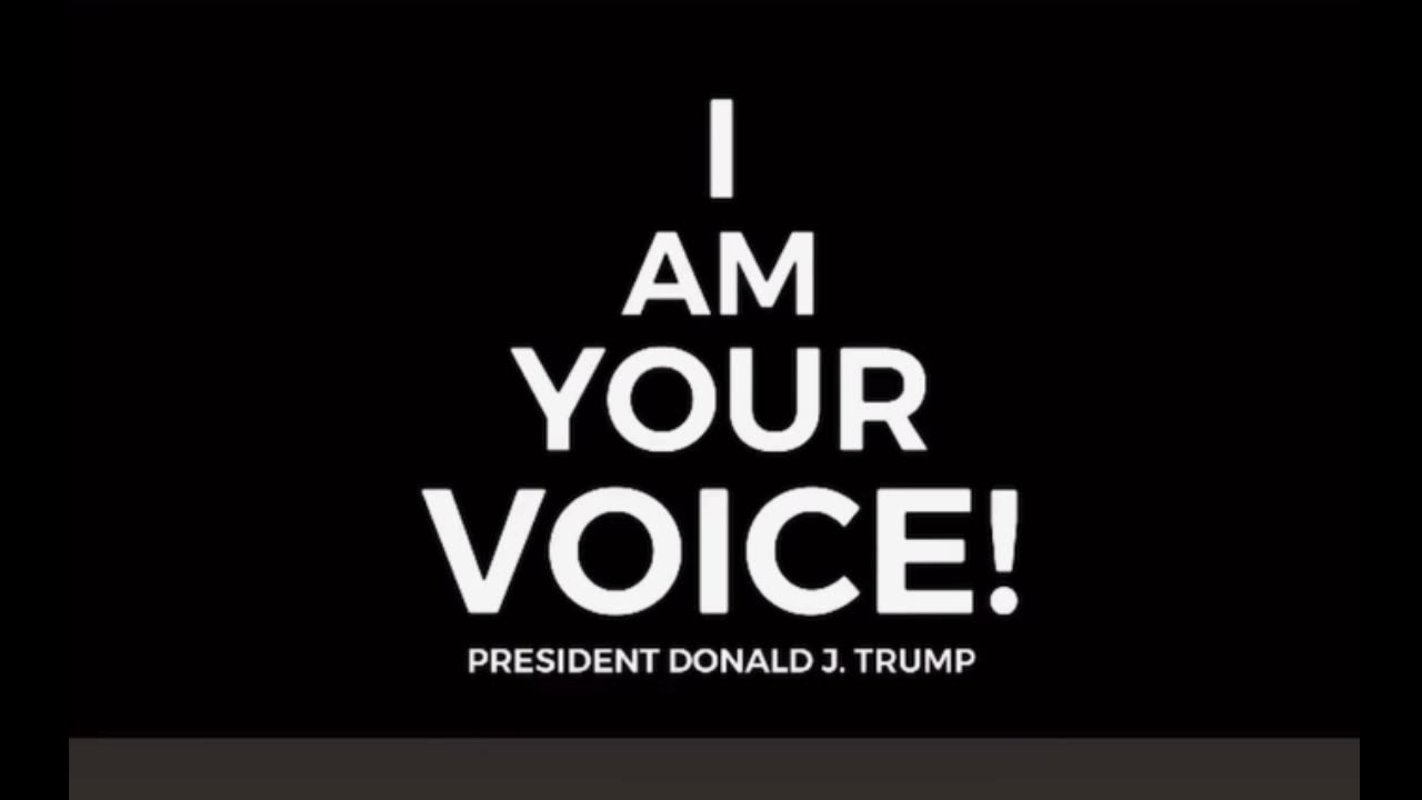 Decent people no longer have a voice, I am your voice