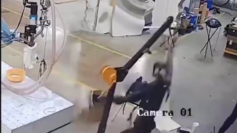 robot attacks chineses
