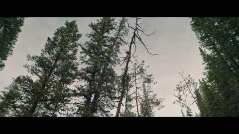 Prey (2022)