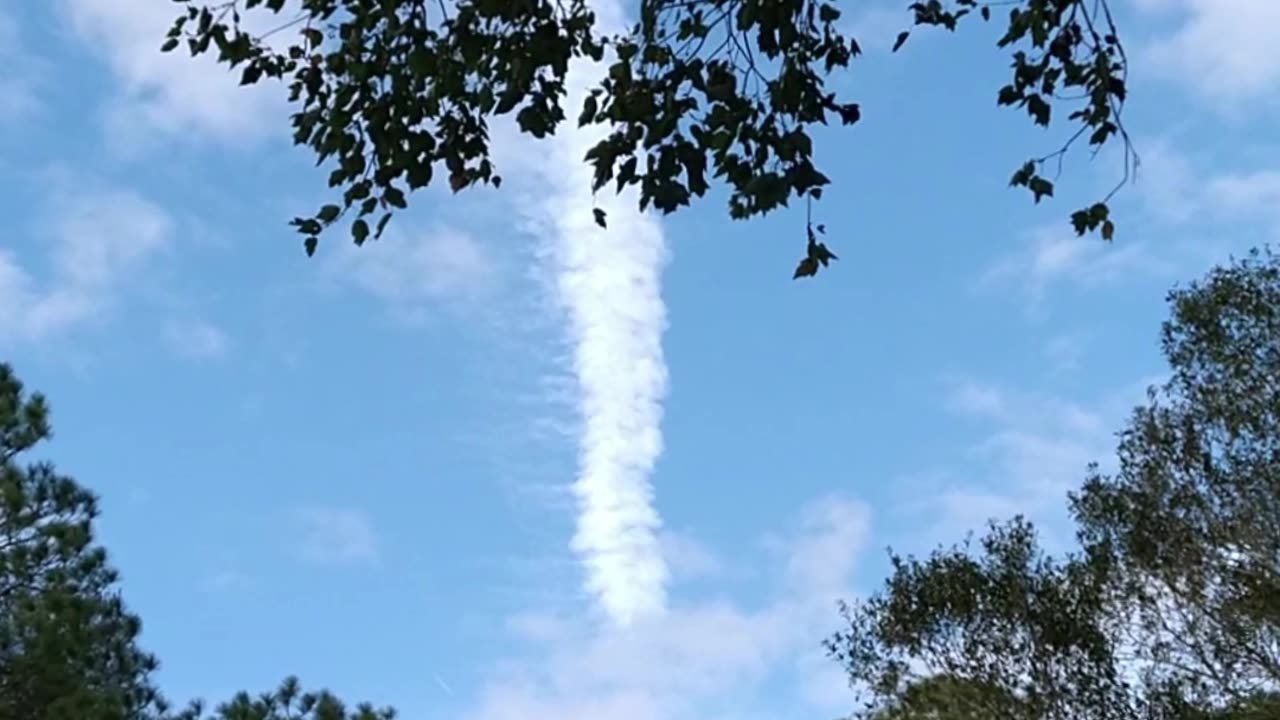 I wanted to show you something weird.