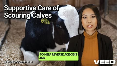 Revive Scouring Claves:Essential Care Tips