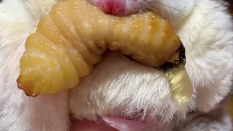 I’m full up after that meal.