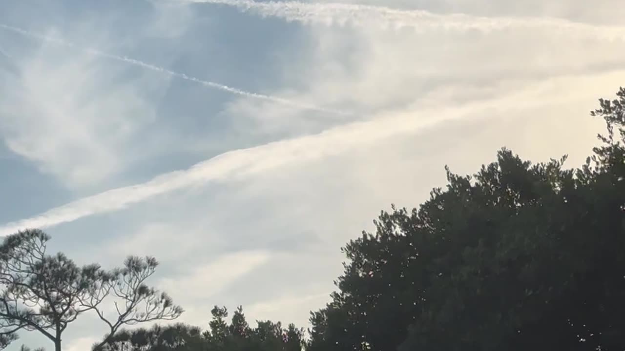 Time for President Trump to declare emergency