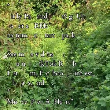 Return of the Innovator | Path and Tarot Reading