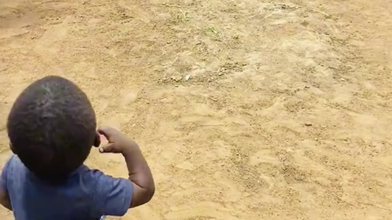 Funny video
