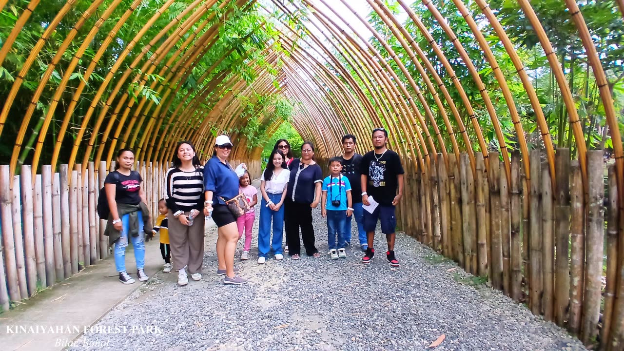 Discover the Beauty of Nature @ Kinaiyahan Forest Park with Breathtaking Adventure in Bilar, Bohol🌳🥰