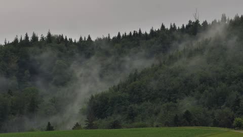 "Do what you can, with what you have, where you are."