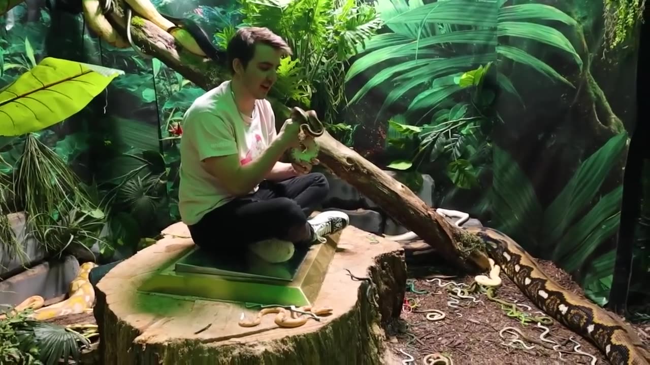 World' Most Dangerous Escape challange video 📷