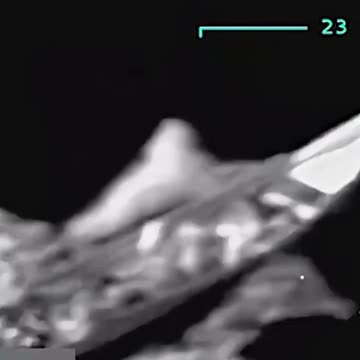 US military destroys a Venezuelan drug boat