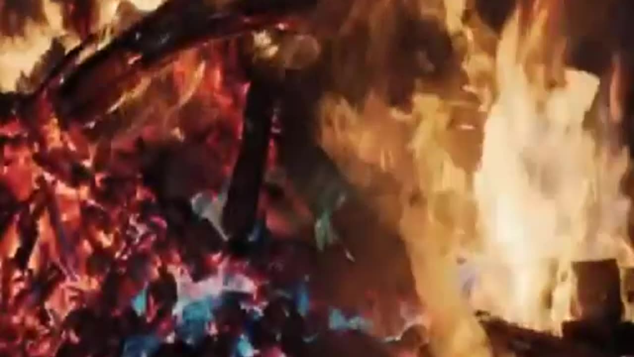 Doğa Ölürken , Sen Nesin