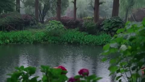 Rain Sounds For Sleeping 99% Instantly Fall Asleep With Rain Sounds