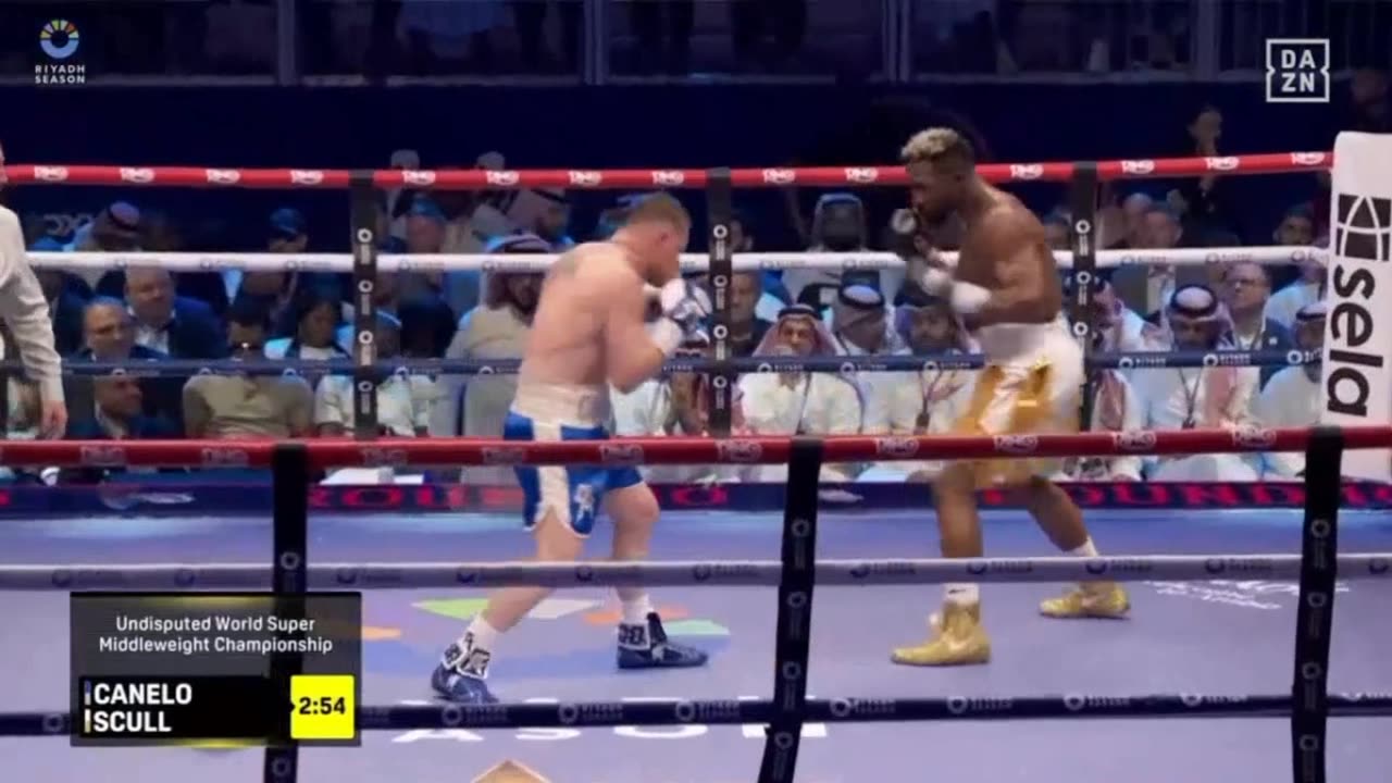 Combat de Boxe William Scull vs Canélo Alvarez