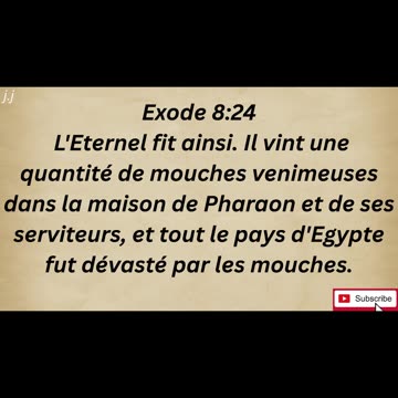 "L'invasion des mouches" exode 8:24 #shorts #youtube #ytshorts #shortvideo #youtubeshorts #jesus #yt