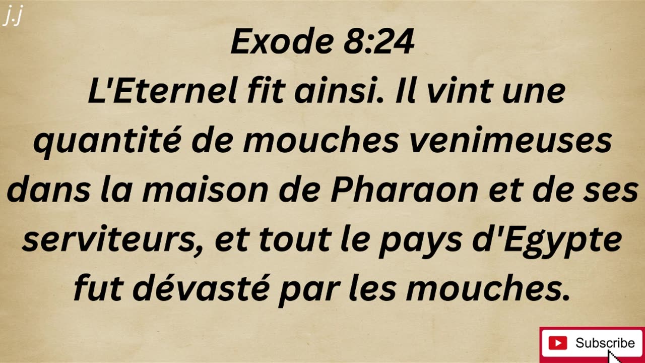 "L'invasion des mouches" exode 8:24 #shorts #youtube #ytshorts #shortvideo #youtubeshorts #jesus #yt