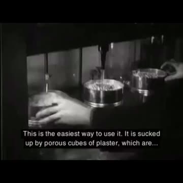 Auschwitz Typhus Epidemic