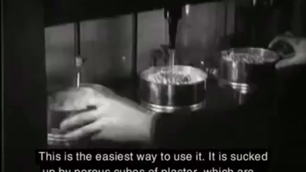 Auschwitz Typhus Epidemic