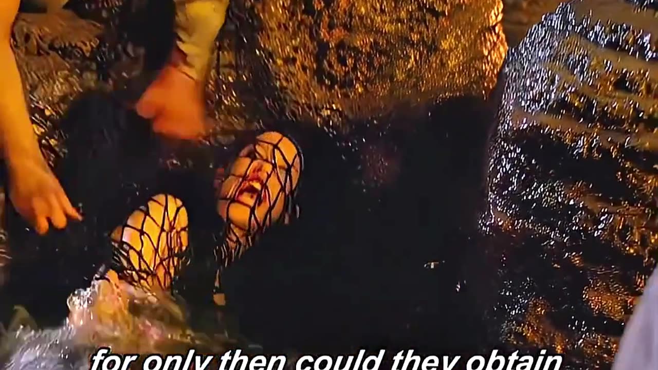 Pirates of the Caribbean #cat #piano