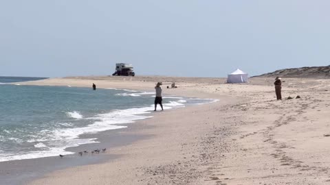 IA y Propiedad ¿Quién es el dueño del código y el cerebro de la inteligencia artificial