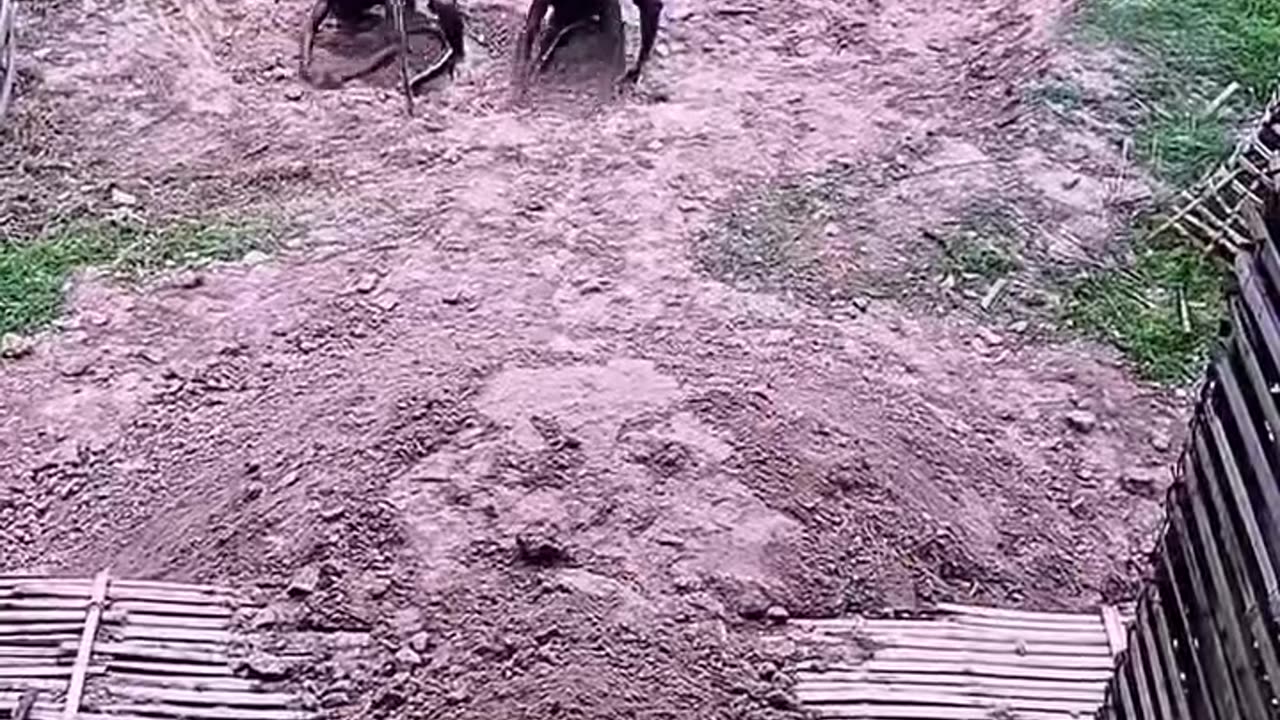 Building a snake house