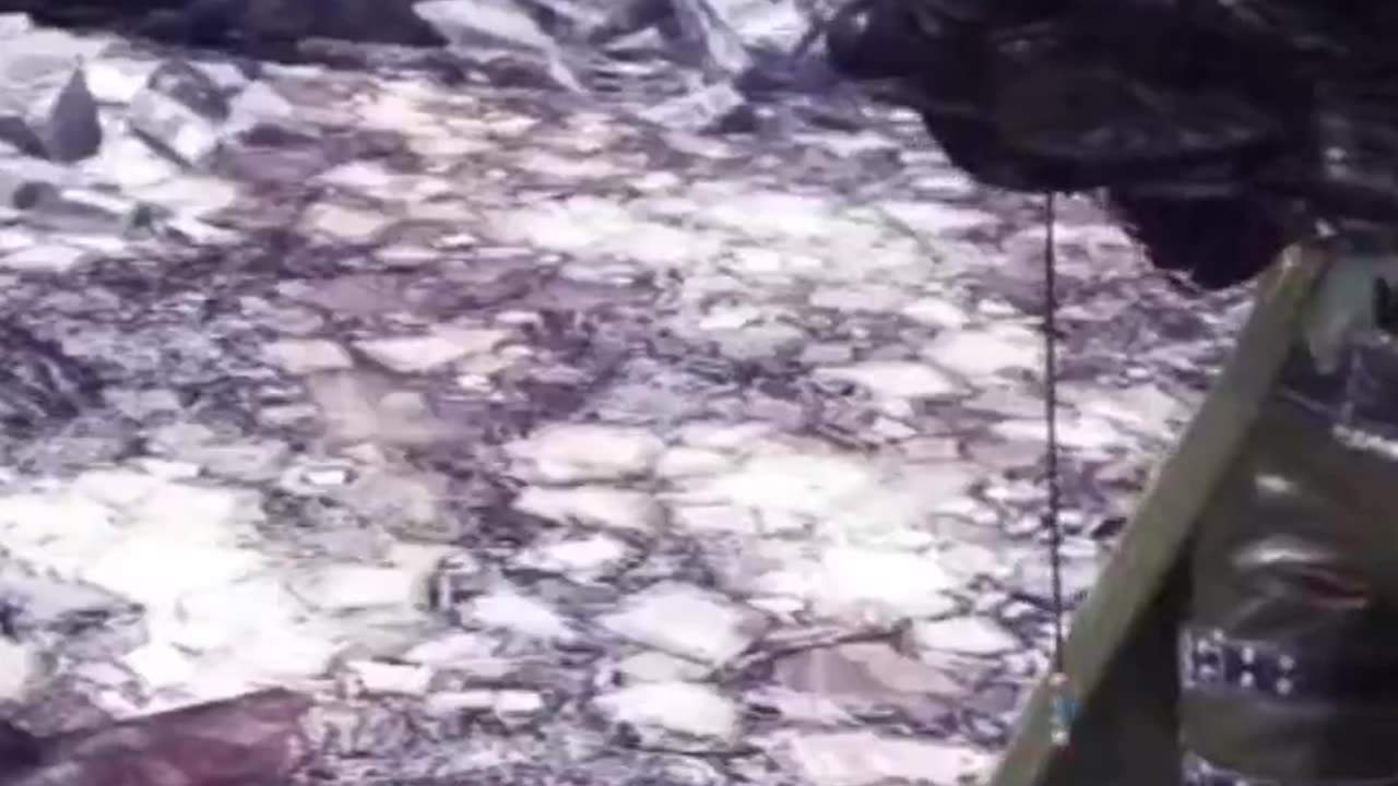 McDicken. Monster Hunter? Just keep running! #monsterhunterworldiceborne