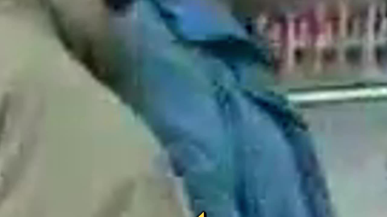 Weź dwie na moją odpowiedzialność