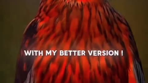 Attitude video