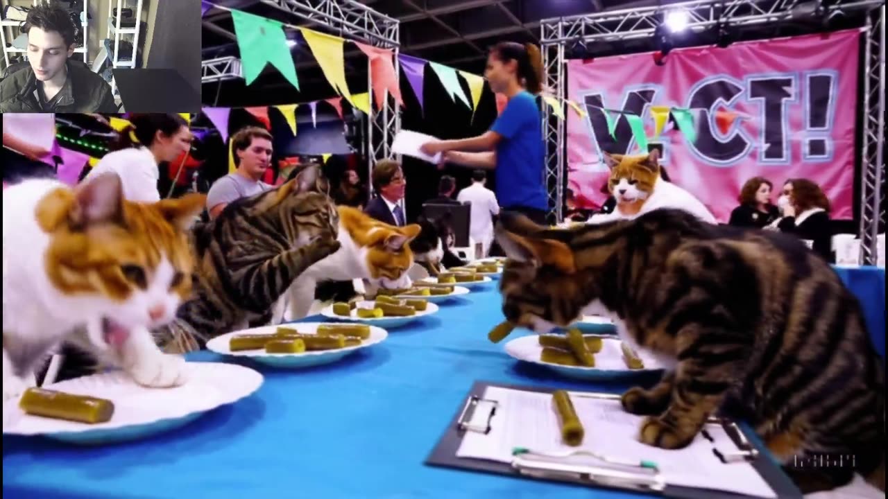 Outtake #1,182 Of The Cats Attempt The Vegan Pickle Eating Contest Fake Funny Parody Video