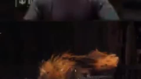 First time #Playthrough in #EldenRing fighting the Red Wolf!. Bark Bark Woof Woof or oof oof?