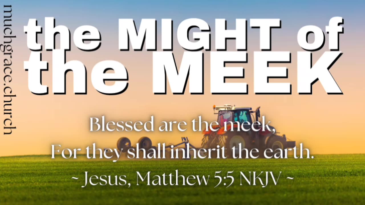 The Might of the Meek | Nicholas Roberts