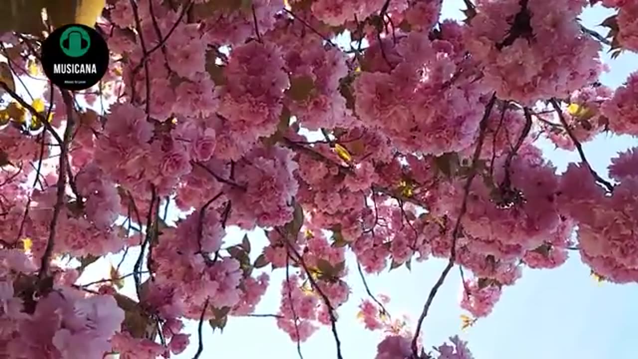 Romantic Music for Bangla Natok-5
