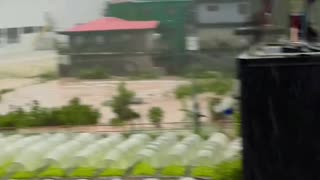 STRAWBERRY FARM SCENARIO The current situation at the la Trinidad strawberry farm in Betag.